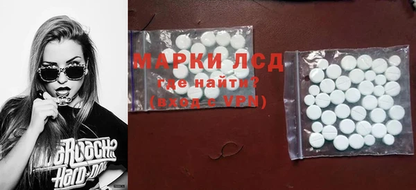 прущий лед Алзамай