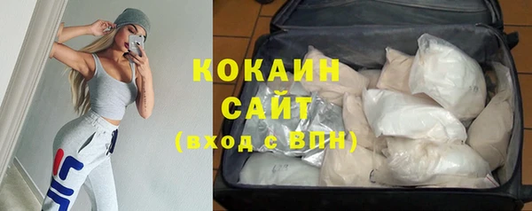 стафф Дмитровск