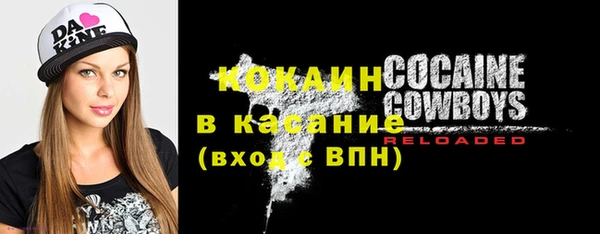 прущий лед Алзамай