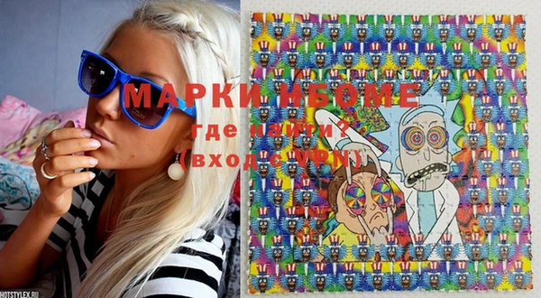 шишки Дмитров