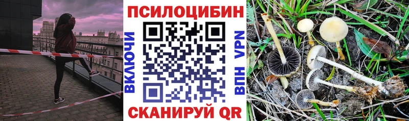 Галлюциногенные грибы Cubensis Ленинск-Кузнецкий