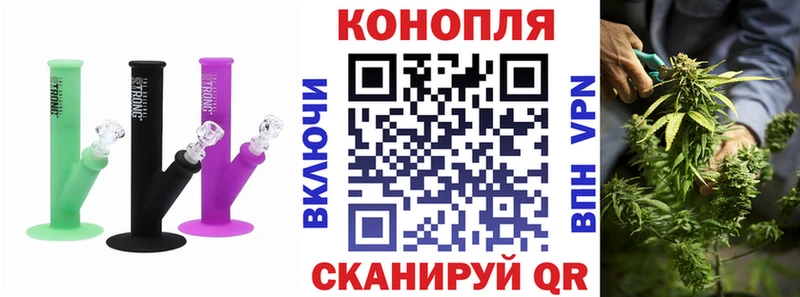 Марихуана план  где найти   Ленинск-Кузнецкий 